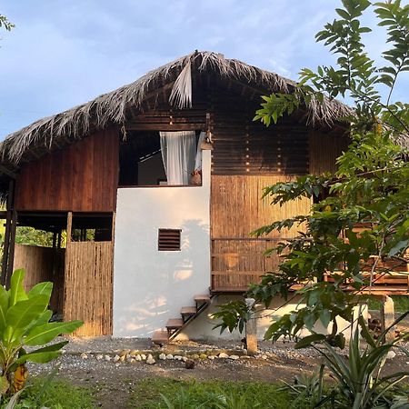 Popochos Beach Eco-Lodge Nuquí المظهر الخارجي الصورة