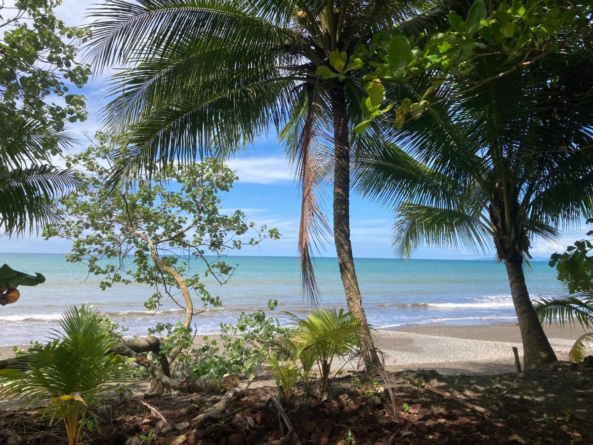 Popochos Beach Eco-Lodge Nuquí المظهر الخارجي الصورة