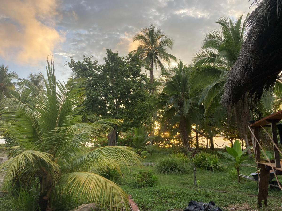 Popochos Beach Eco-Lodge Nuquí المظهر الخارجي الصورة