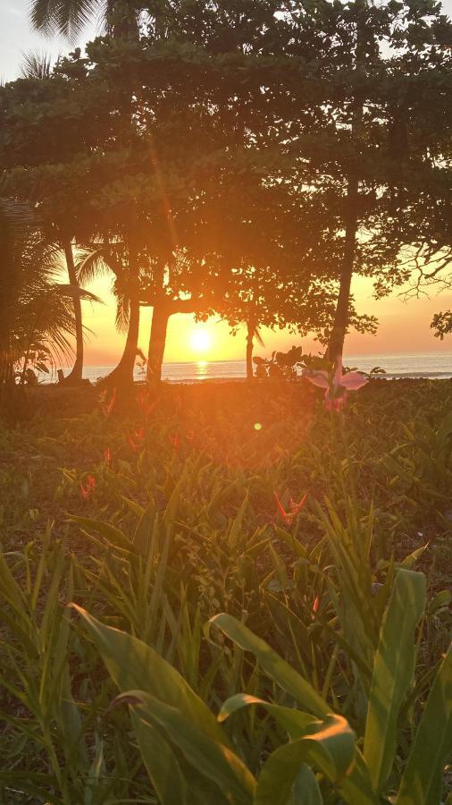 Popochos Beach Eco-Lodge Nuquí المظهر الخارجي الصورة