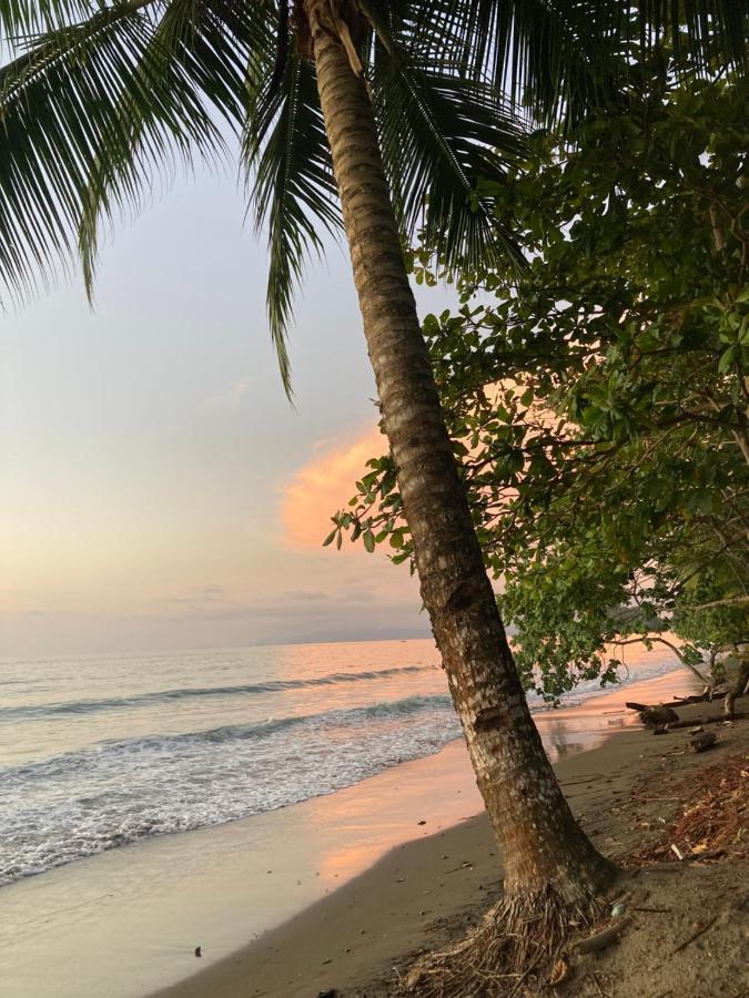 Popochos Beach Eco-Lodge Nuquí المظهر الخارجي الصورة