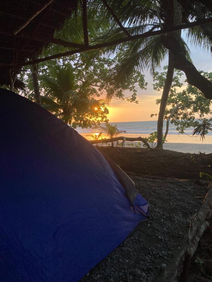 Popochos Beach Eco-Lodge Nuquí المظهر الخارجي الصورة