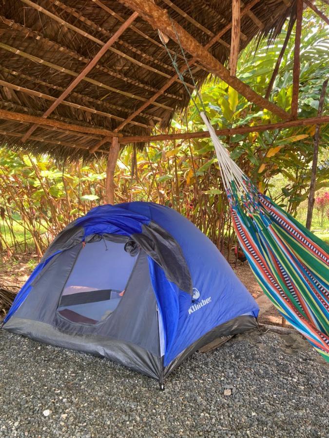 Popochos Beach Eco-Lodge Nuquí المظهر الخارجي الصورة