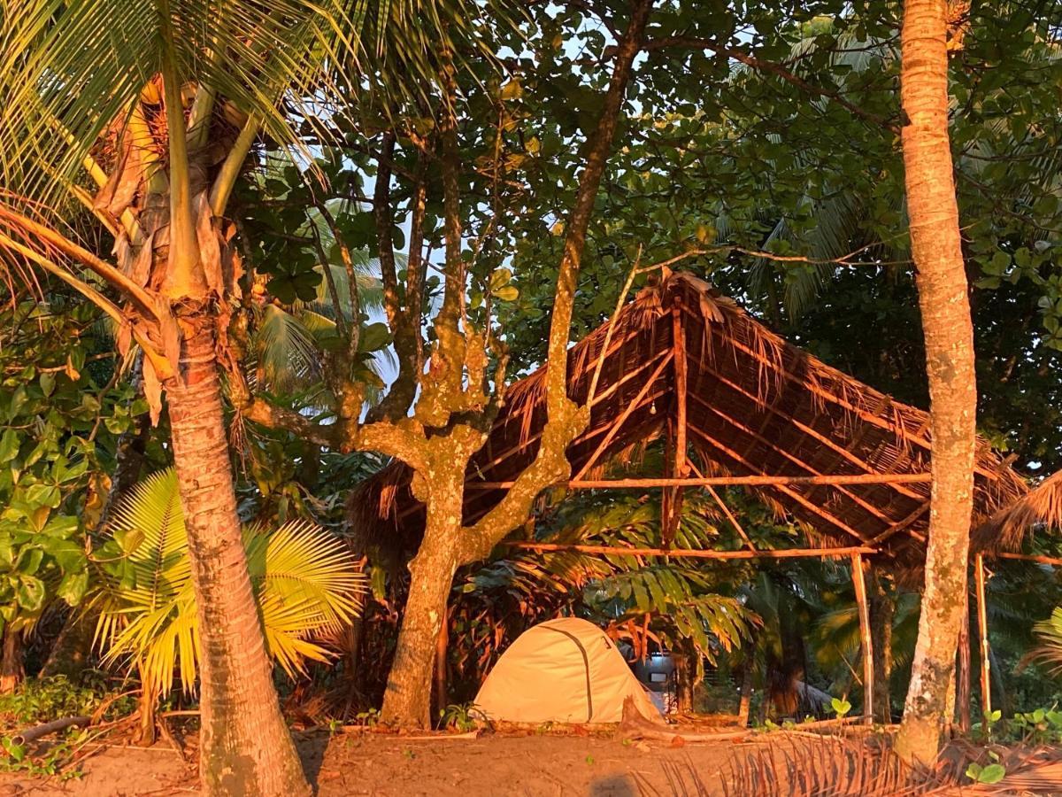 Popochos Beach Eco-Lodge Nuquí المظهر الخارجي الصورة