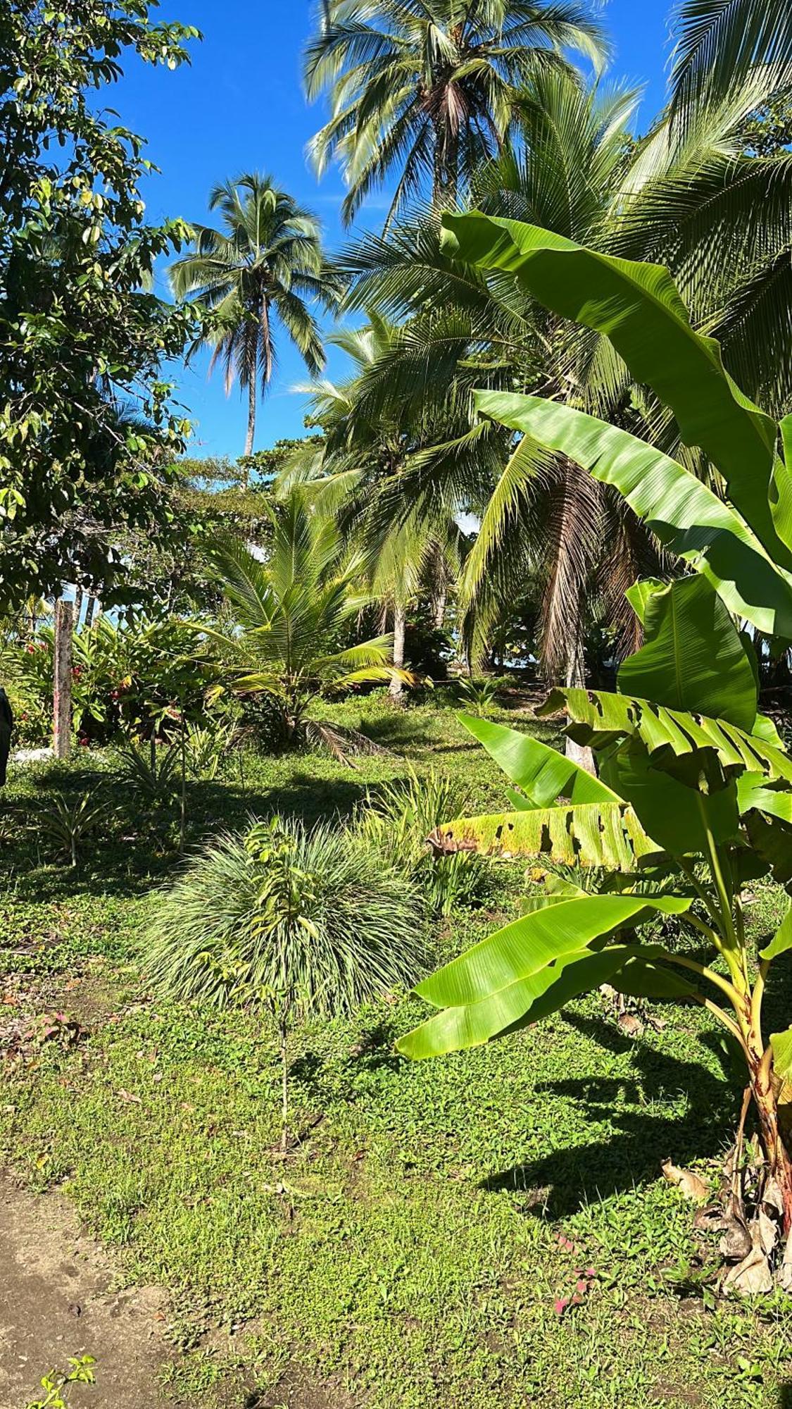 Popochos Beach Eco-Lodge Nuquí المظهر الخارجي الصورة