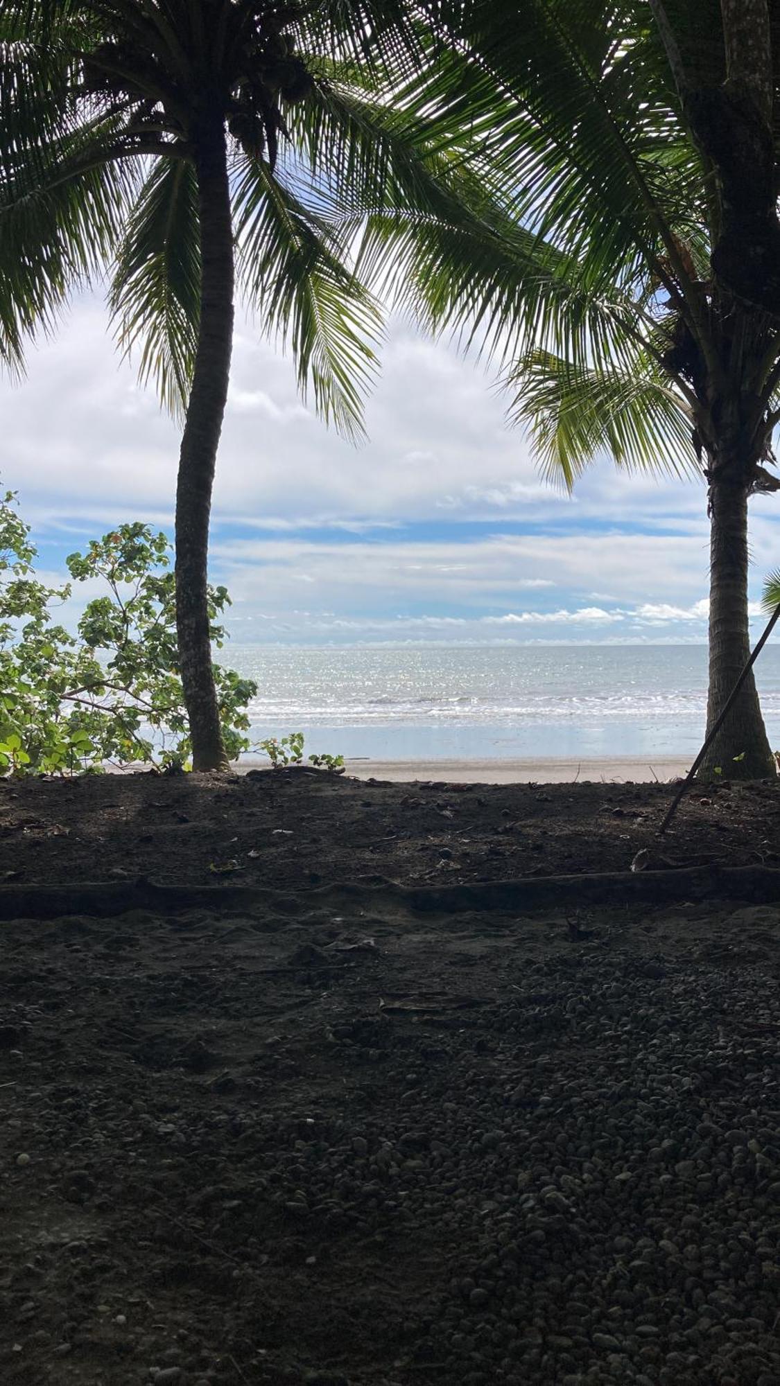 Popochos Beach Eco-Lodge Nuquí المظهر الخارجي الصورة