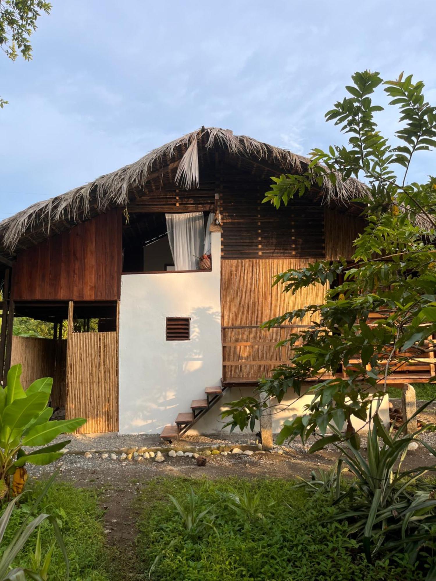 Popochos Beach Eco-Lodge Nuquí المظهر الخارجي الصورة