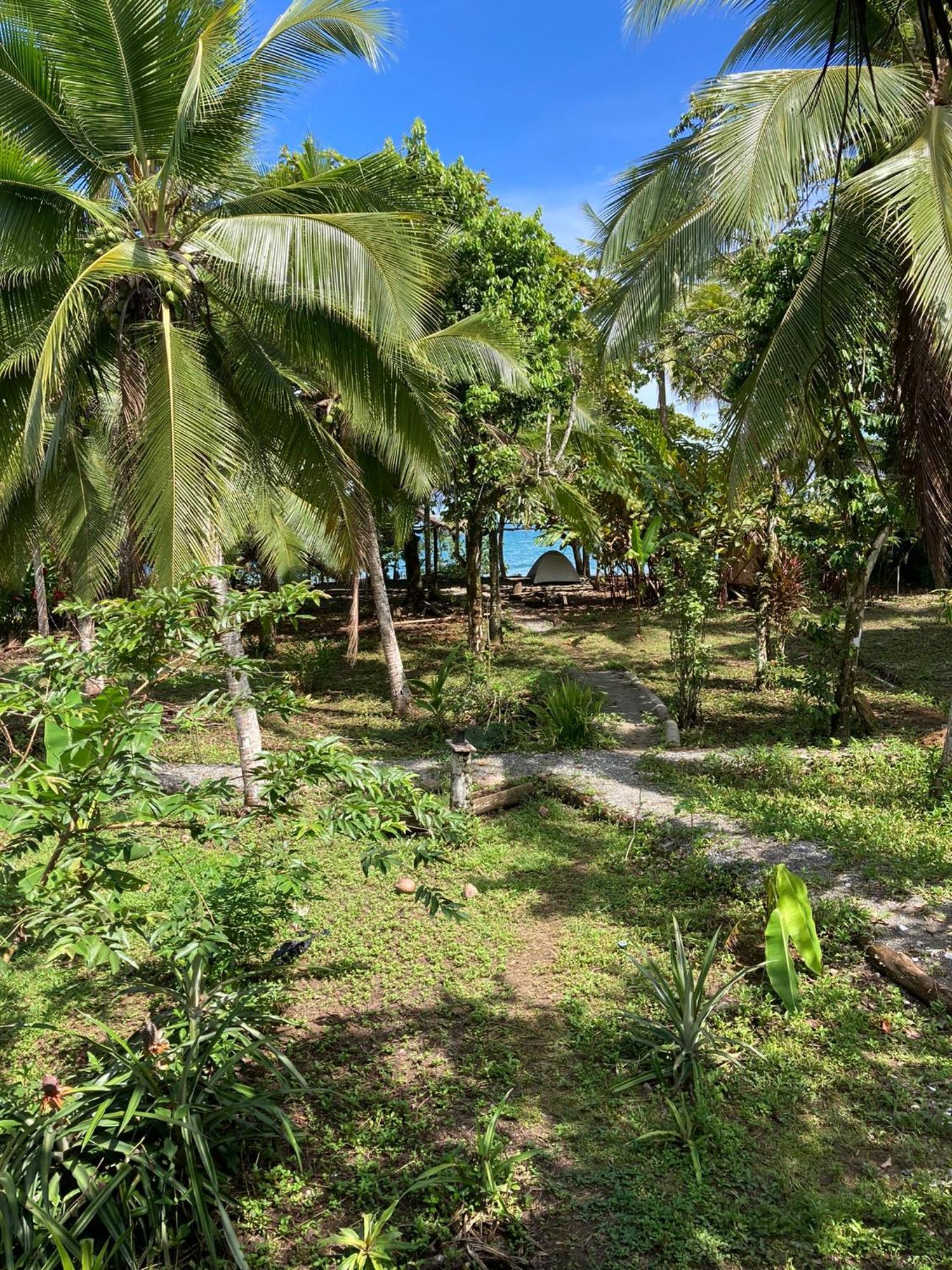 Popochos Beach Eco-Lodge Nuquí المظهر الخارجي الصورة