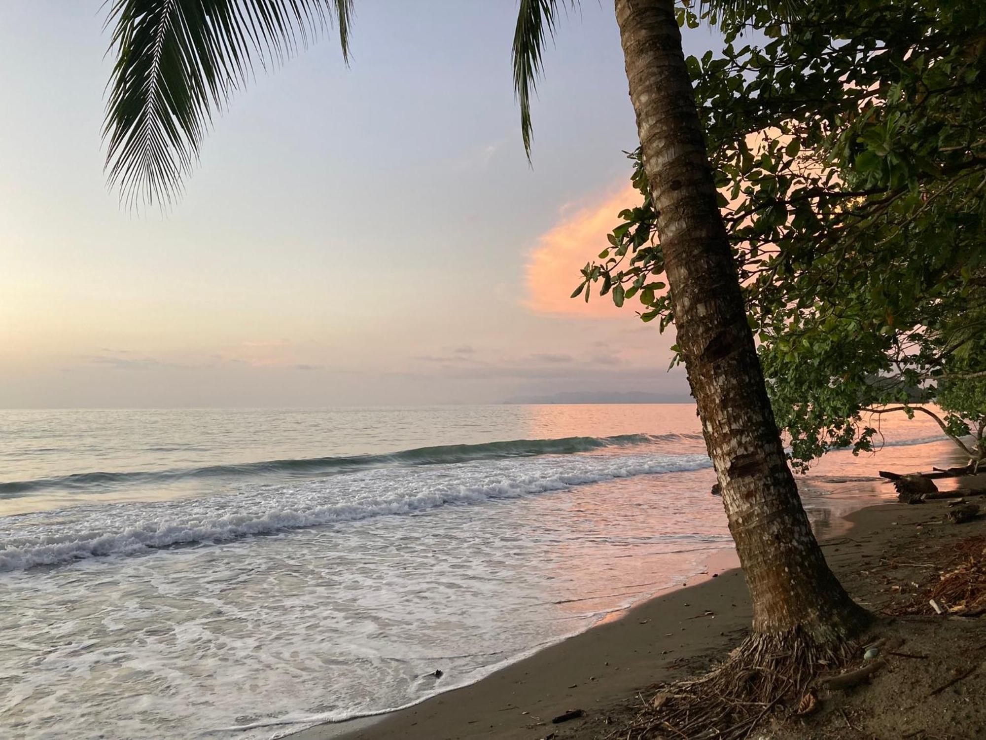 Popochos Beach Eco-Lodge Nuquí المظهر الخارجي الصورة