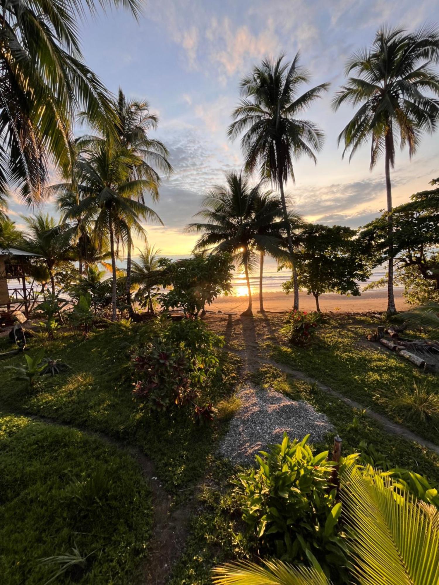 Popochos Beach Eco-Lodge Nuquí المظهر الخارجي الصورة