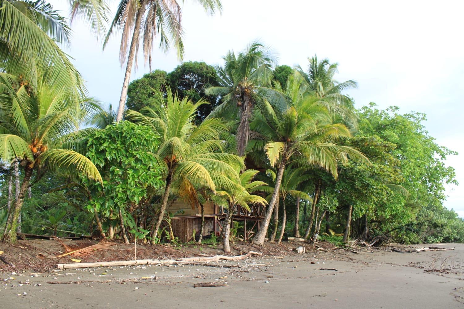 Popochos Beach Eco-Lodge Nuquí المظهر الخارجي الصورة